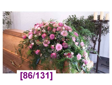 sargdecke_4_1000px_oe_1213748256