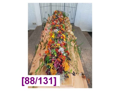 sargdecke_6_1000px_oe_1945645693
