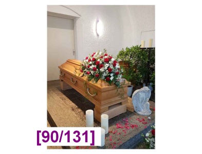 sargdecke_8_1000px_oe_381994529